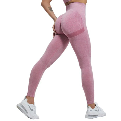 FlexSculpt Leggings